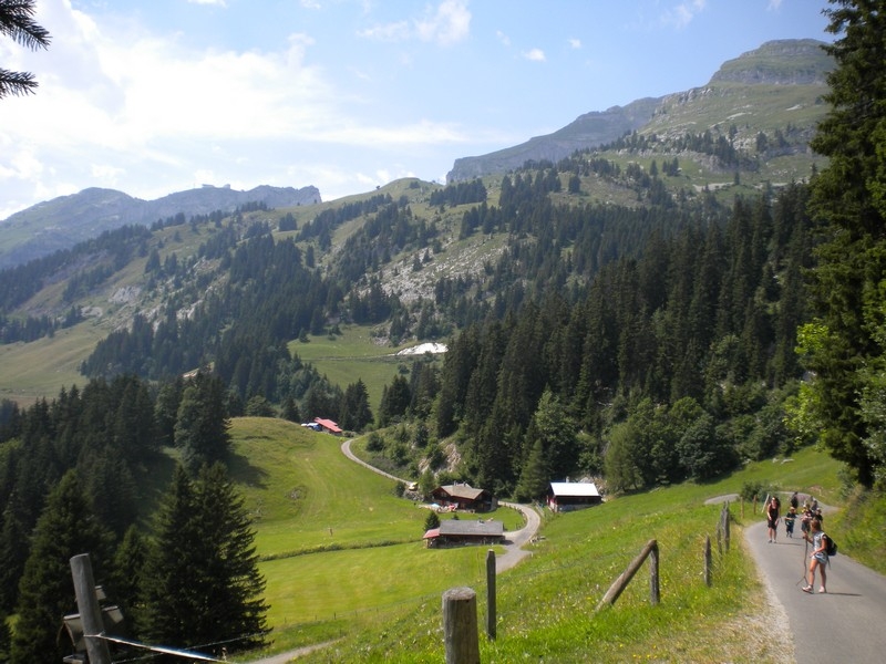 Village Camps International Summer Camp Leysin, Switzerland 2025-08-09 https://www.villagecamps.com/journals_admin/images/714-16-green hike (37).jpg